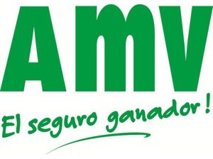 amv